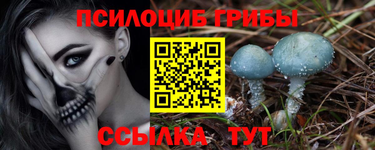 Галлюциногенные грибы мухоморы  Вход с VPN  Озёрск 